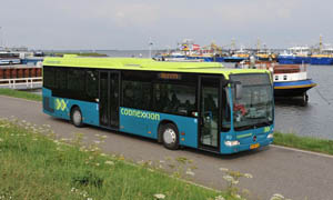 Bus 80 