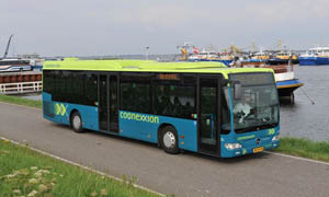 Bus 86 